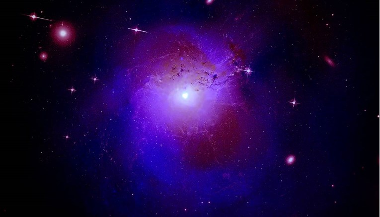 Mile Prpa: Galaksija, VIHOR ORHIDEJA (5.)