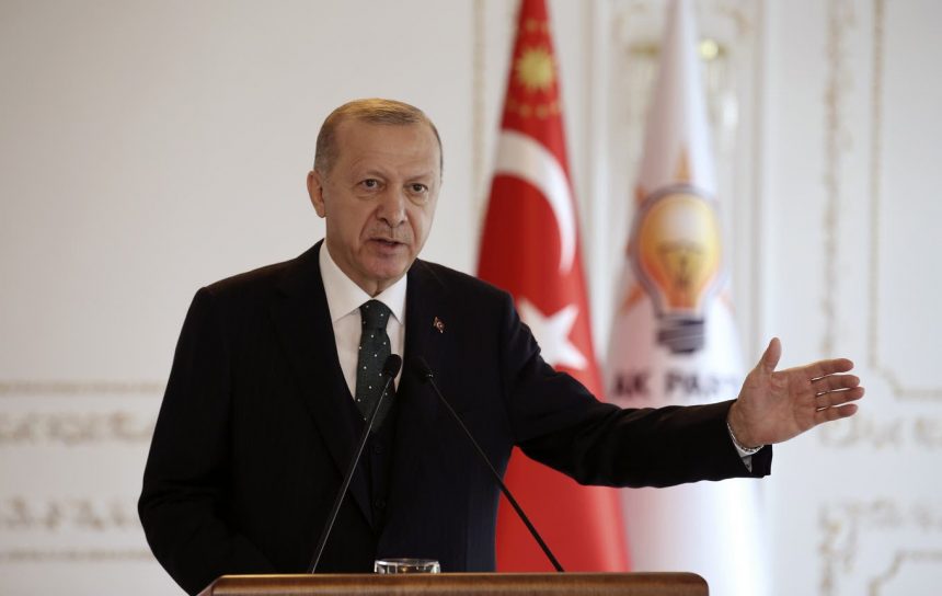 IZ STRANOG TISKA: Erdoğanova Turska počela se umiljavati Europi