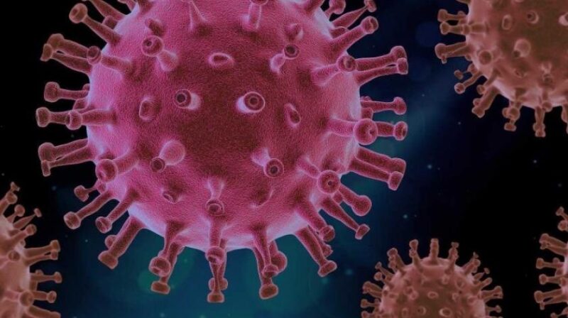 STIGLI UZORCI: U Hrvatskoj počeo lov na mutirani soj koronavirusa