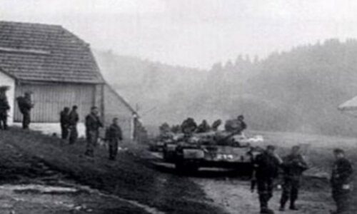 D. Pejčinović: Bitka za Kupres i početak rata u BiH