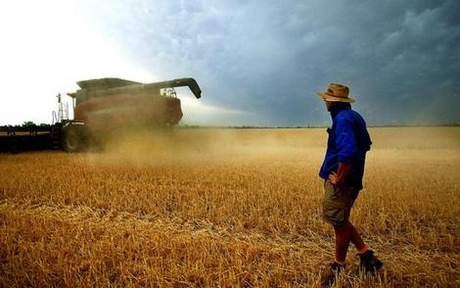 Svijet ostaje bez 30 mil. tona ukrajinske pšenice