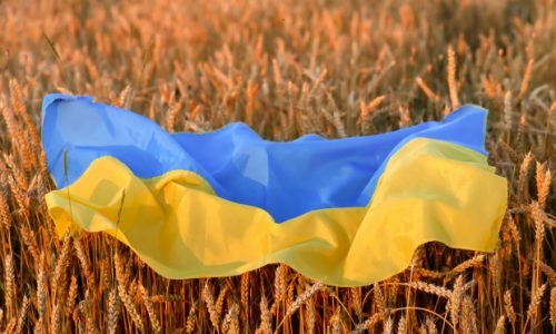 Sastanak Turske, Rusije, Ukrajine i UN-a radi ukrajinskih žitarica
