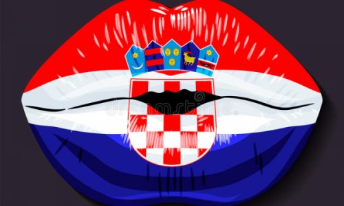 Dr. sc. Domagoj Vidović: Pogubnost hrvatskoga jezičnoga separatizma