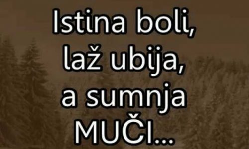 Rudi Tomić: Jasenovac je značajniji od Auswitcha? (*)