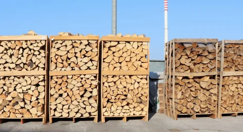 Nestašica drva za ogrjev ili manjak radnika za sječu?