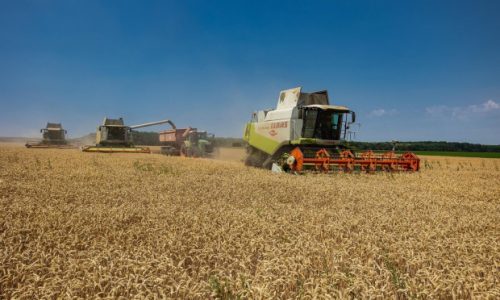 Hrvatska će postati ključna točka za izvoz ukrajinskog žita, ali postoji jedan veliki problem