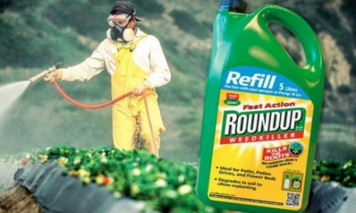 TVRDE DA JE “SIGURAN ZA UPOTREBU” Farmaceutski div mora isplatiti milijardu i pol dolara odštete zbog herbicida