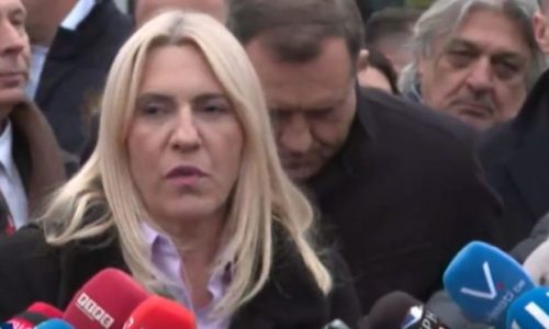 O SUĐENJU DODIKU CVIJANOVIĆ/Ovo je suđenje Ustavu i samoj BiH, Srpska jedina brani demokraciju