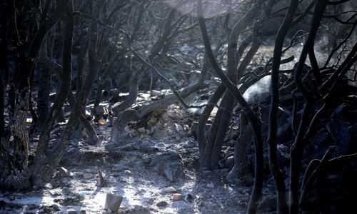 PONOVO DRAMATIČNO U DALMACIJI Požar se razbuktao, širi se od Tučepa prema Podgori, u tijeku evakuacija stanovništva