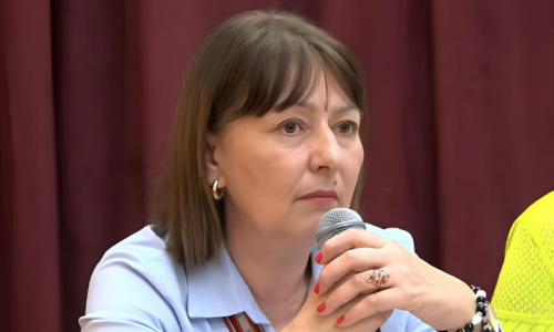 Ona se bori protiv diskriminacije dok hrvatski jezik nestaje iz banaka i institucija u BiH
