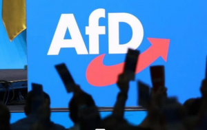 AfD također vodi u anketama u istočnonjemačkim saveznim pokrajinama Mecklenburg-Zapadna Pomeranija i Saska-Anhalt, gdje se u rujnu održavaju lokalni parlamentarni izbori.