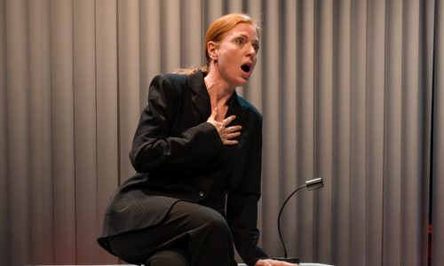 Nataša Božinović: Preusmjeravanje fokusa javnosti